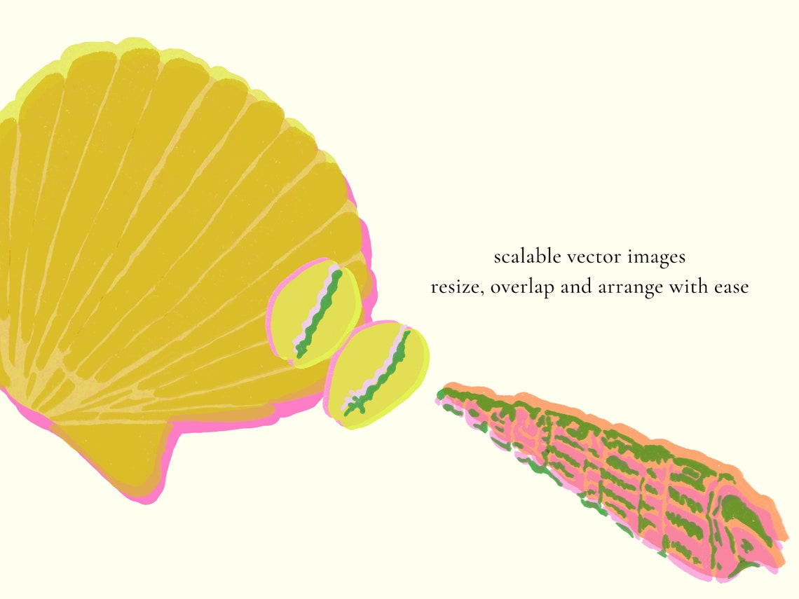 Seashell Clipart - Shells Clipart - Scallop Conch Clam Shells ...