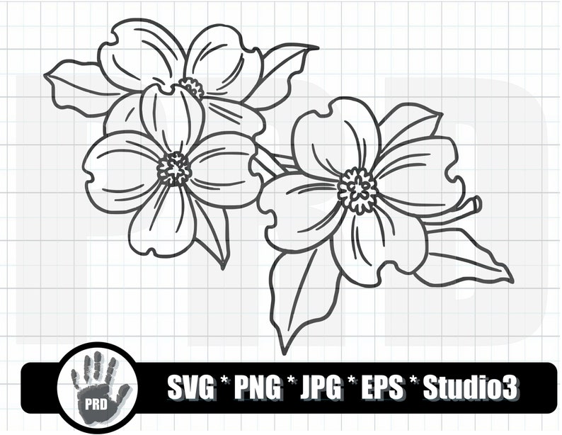 Dogwood Flower Svg Dogwood Blossom Svg Dog Wood Tree Svg Etsy