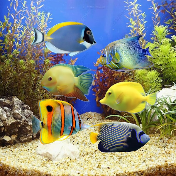 3D Tropical Fish Stickers | Realistic Live Fish Stickers | Aquarium Decoration | Fish Tank Decor | Aquarium Decor