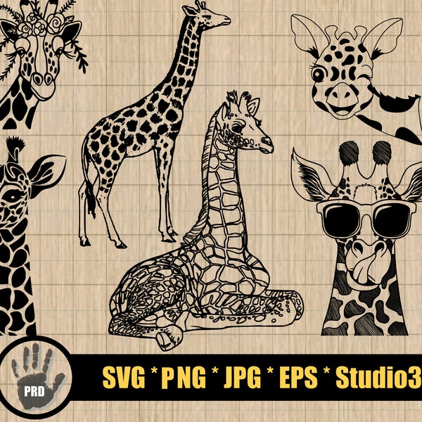 Giraffe svg Design Bundle | Giraffe svg | Giraffe Clipart | Giraffe Vector | Baby Giraffe svg | Zoo Animals | Safari Animals | Cute Giraffe