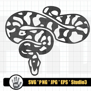 Ball Python SVG Design Bundle Ball Python Ball Pythons Svg Python Svg ...