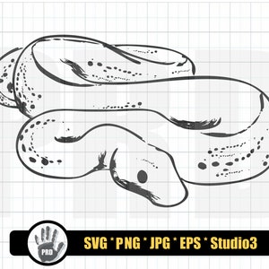 Ball Python SVG Design Bundle Ball Python Ball Pythons Svg Python Svg ...