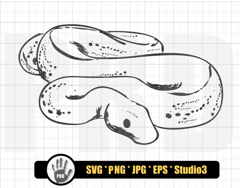 Ball Python SVG Design Bundle Ball Python Ball Pythons Svg - Etsy