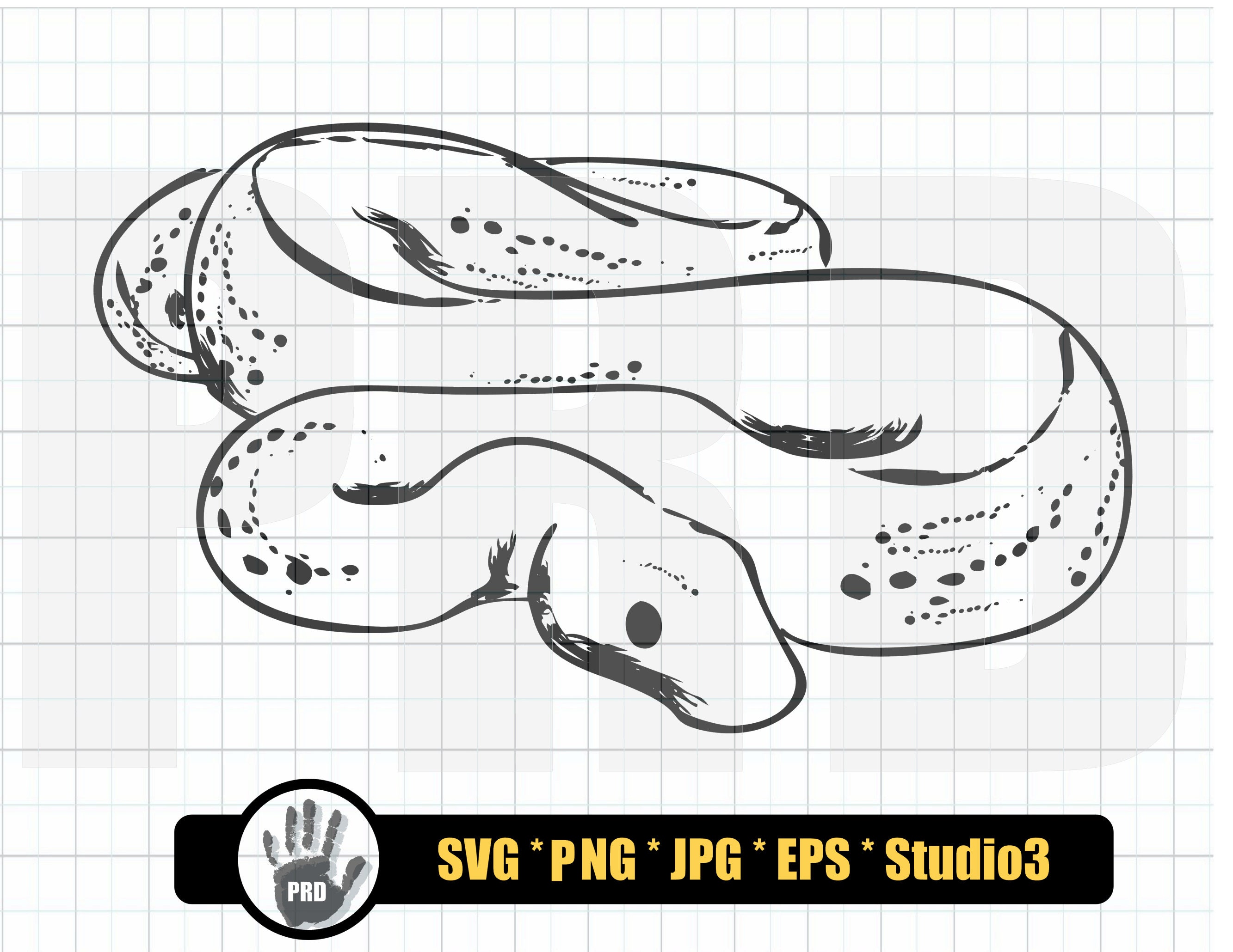 Ball Python SVG Design Bundle Ball Python Ball Pythons Svg - Etsy