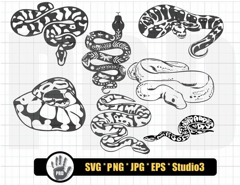Ball Python SVG Design Bundle Ball Python Ball Pythons Svg - Etsy