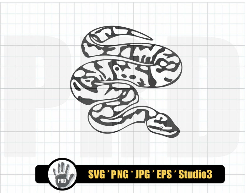 Ball Python SVG Design Bundle Ball Python Ball Pythons Svg - Etsy