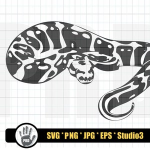 Ball Python SVG Design Bundle Ball Python Ball Pythons Svg Python Svg ...