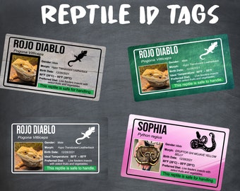 Reptile Cage - Etsy