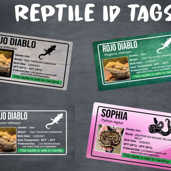 Custom Reptile Cage Terrarium ID Stickers | Reptile Name Decal | Reptile Vivarium ID Tags | Reptile ID Tag Stickers