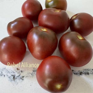 May include: A cluster of ripe, dark red tomatoes with a glossy sheen. The tomatoes vary in size and shape, with some displaying a slightly flattened appearance. The text "Rebel Alliance" is visible in the lower left corner.