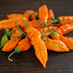 Peut inclure: Un groupe de piments orange vif à la peau ridée et allongée, dotés de tiges vertes. Les piments sont empilés ensemble, mettant en valeur leur texture bosselée caractéristique et leur couleur vive et saturée à l'état brut.