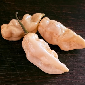 May include: Three pale peach-colored chili peppers with wrinkled, bumpy skin textures. Each pepper has an elongated, irregular shape with a pointed tip. One pepper features a thin, dark green stem attached to its top, while the others are stemless.