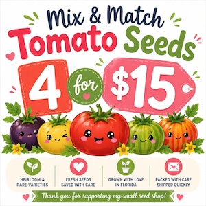 May include: A graphic advertisement for Mix & Match Tomato Seeds featuring five cartoon tomatoes with faces in purple, yellow, red, green, and orange. The text reads 4 for $15, Heirloom & Rare Varieties, Fresh Seeds Saved With Care, Grown With Love In Florida, Packed With Care Shipped Quickly, and Thank you for supporting my small seed shop!