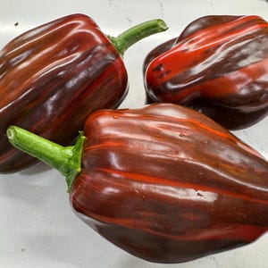 May include: Four bell peppers with a unique color pattern. The peppers have a dark maroon base with red and orange stripes. Each pepper has a green stem. The peppers are on a white surface.