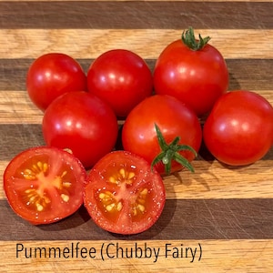 May include: A collection of bright red cherry tomatoes, including several whole tomatoes and two halves showing the interior seeds and pulp. The text "Pummelfee (Chubby Fairy)" is printed at the bottom of the image in black lettering.