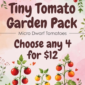 Op de afbeelding: Een promotieafbeelding voor een Tiny Tomato Garden Pack, met de tekst "Tiny Tomato Garden Pack" en "Micro Dwarf Tomatoes". De afbeelding bevat illustraties van rode, oranje en gele tomaten aan wijnstokken. De tekst "Choose any 4 for $12" wordt ook weergegeven.