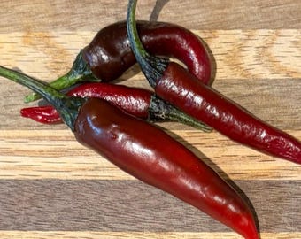 Murasaki Purple Seeds