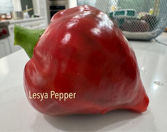 Semi di peperoncino rosso Lesya