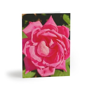Cartões comemorativos, design de rosas cor-de-rosa - conjunto com 8, 16 e 24 peças, papelaria, cartões de visita, cartões florais, presente para ela, conjunto de cartões de aniversário