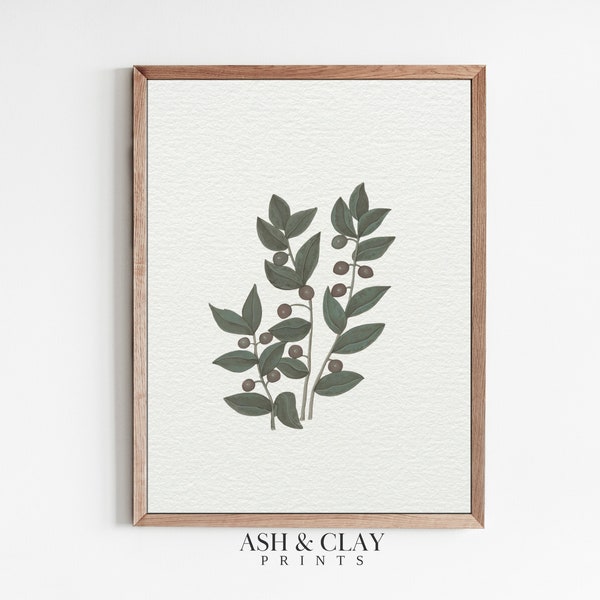 Olive Branch Farmhouse Etsy