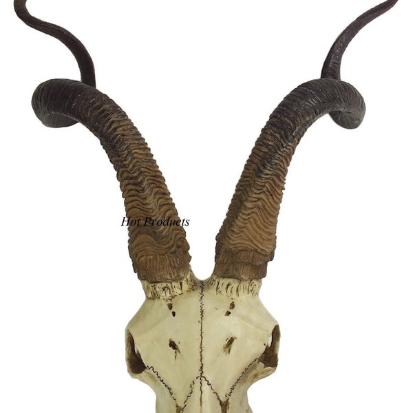 23" African Kudu Antelope Skull Replica Wall Hanging Plaque Statue Twisted Horns