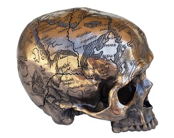 6" Craniography Treasure Map Human Skull Statue Bronze Finish
