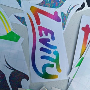 May include: A vinyl sticker featuring the word LEVITY in a stylized, vertical font with a vibrant rainbow gradient that transitions from red at the top to yellow at the bottom, set against a white backing paper with other partial stickers.