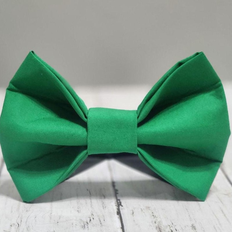 Gopher on Four Bow Tie in Green by Bird Dog Bay main image 1