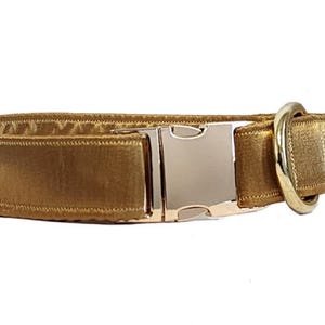 May include: A gold satin dog collar with a gold metal buckle and D-ring.