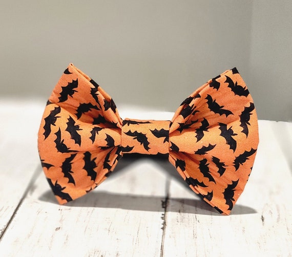 pashmina shawl myntra