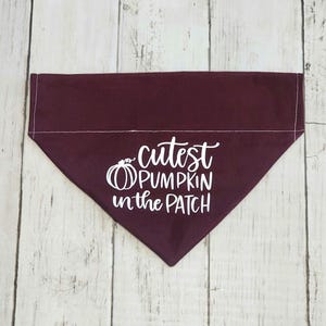 May include: Burgundy dog bandana with white text that reads "Cutest Pumpkin in the Patch" and a white pumpkin graphic.