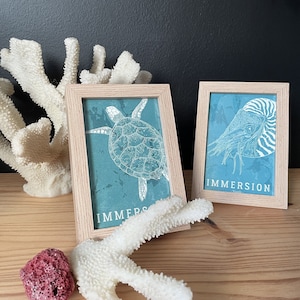Cartes immersives