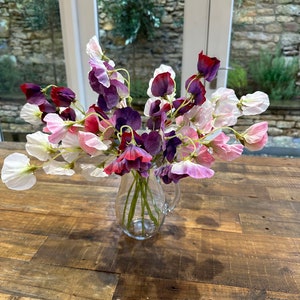 5 Stem Artificial Mixed Sweet Pea Bunch | Faux Bouquet | DIY Florals | Wedding/Home Decoration | Gifts, DIY Bouquets/Centrepieces