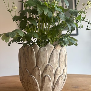 May include: A decorative, beige-colored planter shaped like an artichoke, filled with green leafy plants and delicate white flowers. The planter sits on a wooden table, creating a natural and rustic aesthetic.
