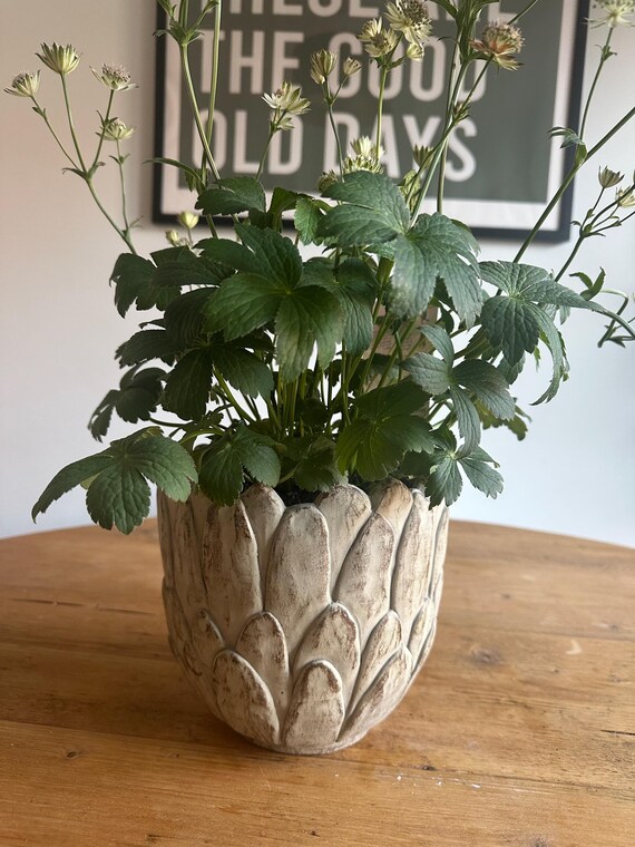white plant pots indoor 7in Tall Rouen White Ceramic Pot with Saucer, Set of 2  Jamali Garden