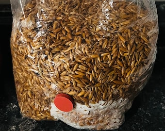 May include: A clear plastic bag filled with brown oats, with a white label that says "S.P.i.M.A 9/24".
