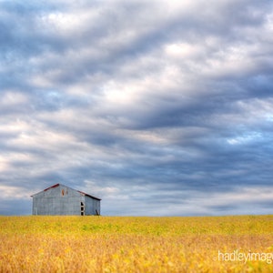 Kansas Landscape with Barn Photography in Fall Stormy Farm Field of Gold with Barn Landscape Wall Art