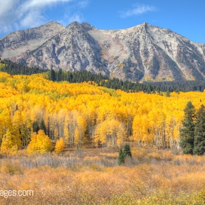 Fall Aspens Landscape of Mountains in Fall in Rocky Mountains Landscape Photography in Fall Wall Art