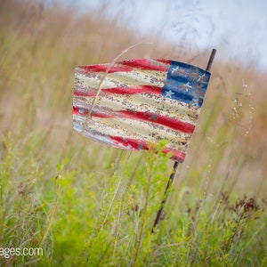American Flag Photography American Flag in Grassy Meadow American Flag Wall Art