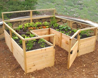 May include: A raised garden bed made of cedar wood with a wire mesh fence and a gate. The garden bed is divided into four sections, each with different plants growing in them.