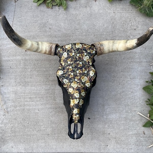Real Steer Skull with Horns - Real Cow Skull - Floral Skull