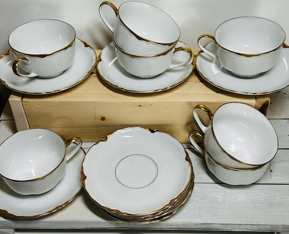 Hutschenreuther Selb Porcelain Blenheim Cup Saucer Pasco Bavaria Germany Set