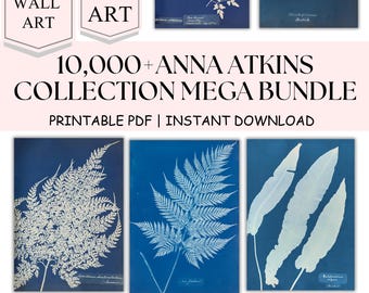 10000 Anna Atkins Botanic Gallery Wall Art, stampe floreali eclettiche, arte colorata e luminosa, galleria English Cottage, download digitale istantaneo