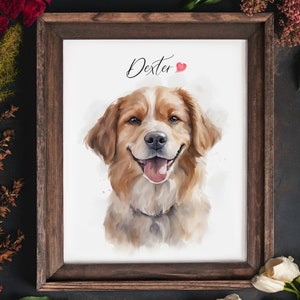 May include: A watercolor painting of a dog named Dexter. The dog is a golden brown color with a white chest and a happy expression. The painting is framed in a brown wooden frame.