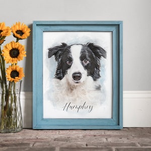 Op de afbeelding: Een ingelijst aquarel schilderij van een zwart-witte border collie met de naam "Humphrey" geschreven in cursief onder het portret van de hond.