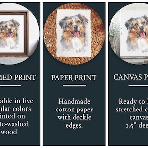 Op de afbeelding: Drie ingelijste prints van een aquarel van een Australian Shepherd hond. De prints zijn verkrijgbaar in ingelijste, papier- en canvasopties. De ingelijste print is verkrijgbaar in vijf populaire kleuren en is gedrukt op witgewassen hout. De papierprint is handgemaakt op katoenen papier met deckelranden. De canvasprint is klaar om op te hangen en is 3,8 cm diep.