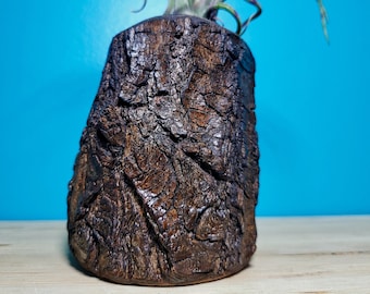 Leña tostada al fuego - Soporte de planta de aire.  Bolsa de regalo incluida