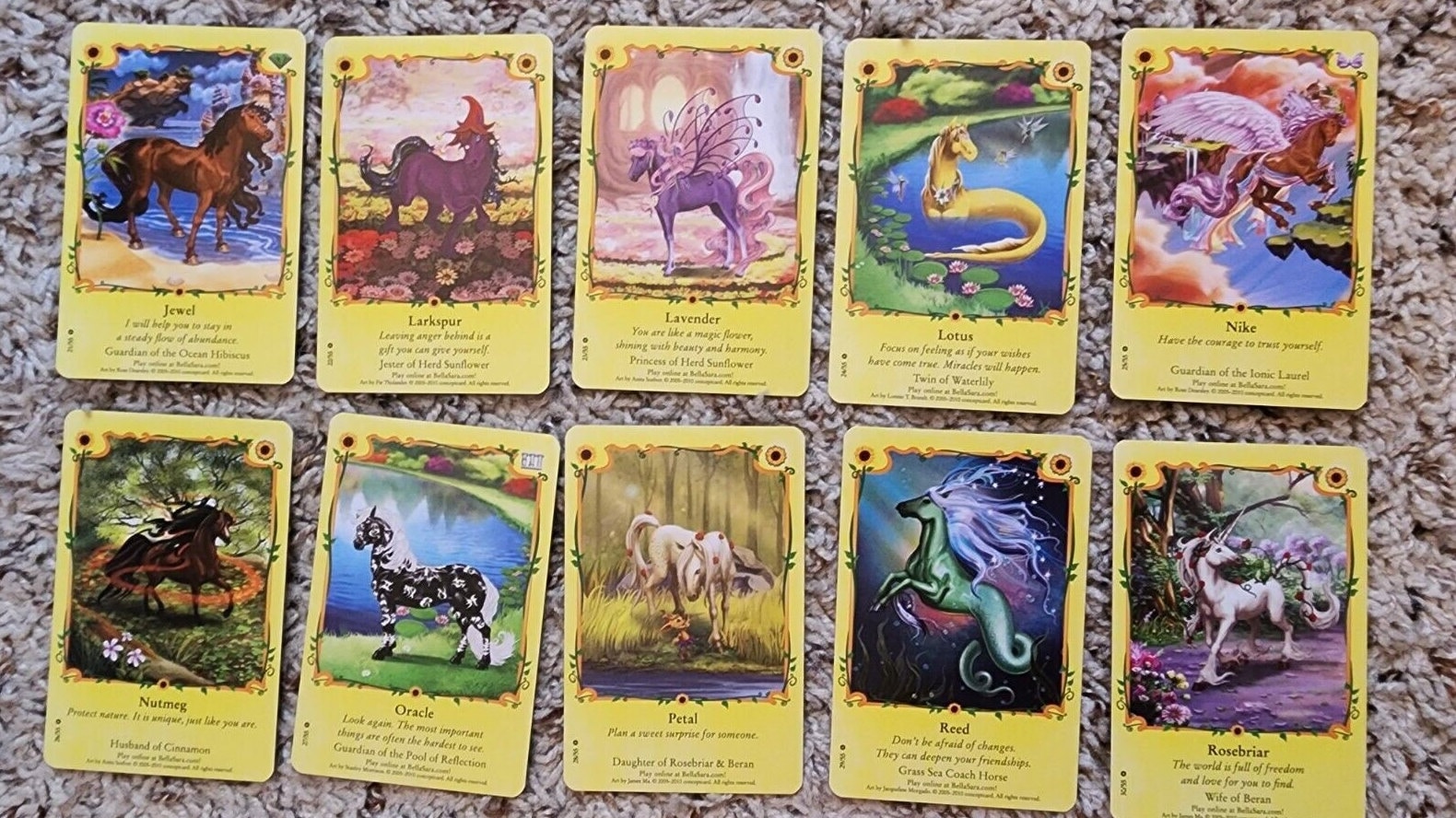 Bella Sara Sunflowers Cards - Etsy