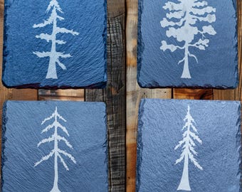 Laser Engraved Slate Coasters | Evergreen Tree Cabin Decor