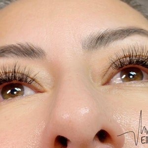 4D Promade Fans 500 Lashes